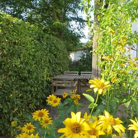 شقة Hortensienhaus زنغست