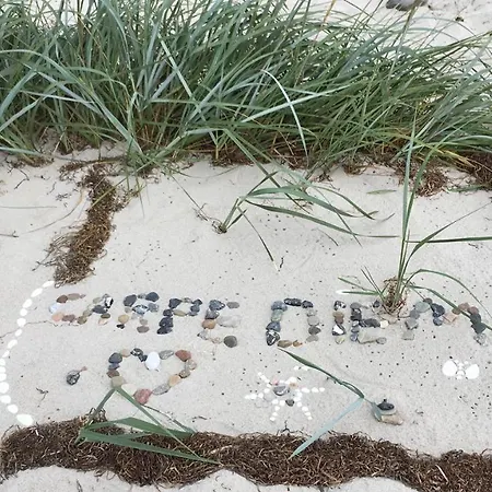 شقة Hortensienhaus زنغست