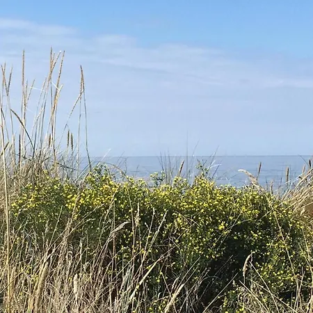 Hortensienhaus شقة زنغست